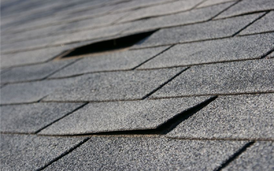 Residential Roof Replacement: Shingles