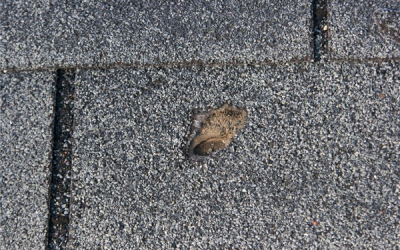 Tips for Replacing Your Hail Damaged Roof