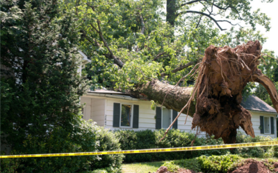 4 Types of Storm Damage You Need to Know About