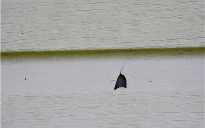 How to Handle Extensive Hail Damage