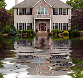 Oh No! Flood loss…